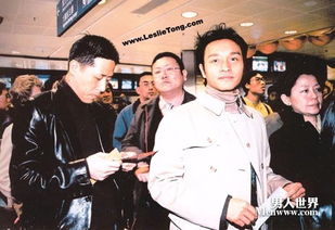 唐鶴德和張國榮誰是男