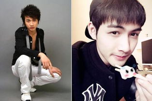 張彬彬是楊冪公司的嗎