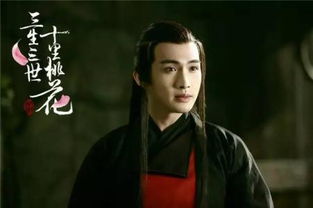 張彬彬是楊冪公司的嗎