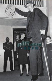 詹世釵和羅伯特誰高