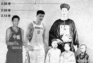 詹世釵和羅伯特誰高