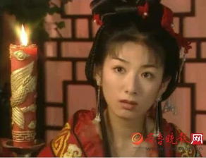 聶遠為什么坐牢