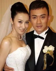 聶遠為什么坐牢