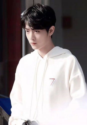 肖戰應援色是什么顏色