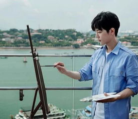 肖戰應援色是什么顏色