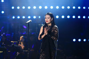 袁婭維唱的什么歌