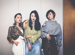 袁婭維怎么出道的