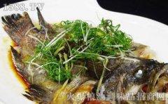 孕婦可以吃石斑魚嗎