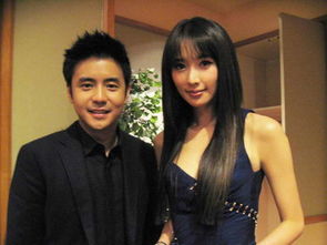 周杰倫林志玲演的電影