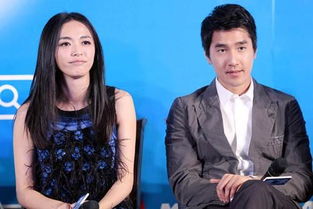 姚晨趙又廷主演的電影是什么