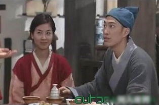 孫紅雷的老婆演過武林外傳嗎