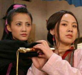 孫紅雷的老婆演過武林外傳嗎