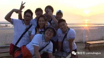 宋智孝打李光洙是哪期