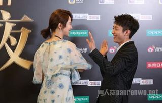 張一山和楊紫是什么關系