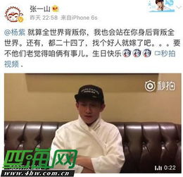 張一山和楊紫是什么關系