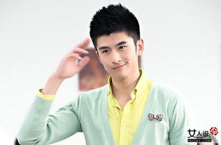 張云龍是楊冪公司的嗎