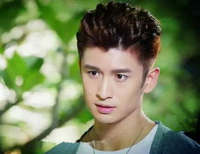 張云龍是楊冪公司的嗎