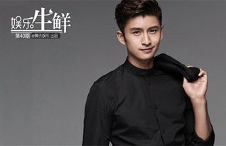 張云龍是楊冪公司的嗎