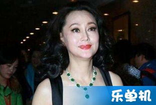 張學津宋佳為什么離婚