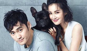 張歆藝生孩子了嗎