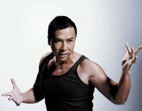 甄子丹真的會詠春嗎