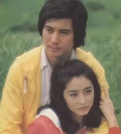 秦漢到底愛林青霞嗎