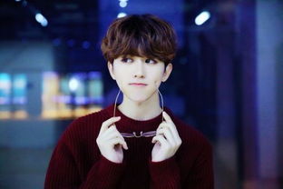 蔡徐坤的粉絲叫什么