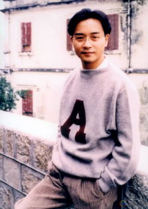 張國榮怎么追的唐鶴德