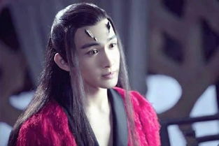 張彬彬粉絲名叫什么