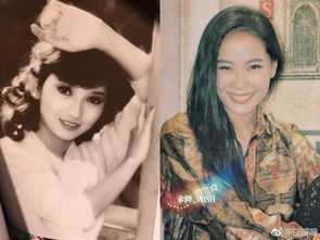 趙雅芝和葉童什么關系