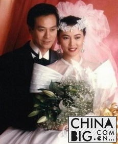 鄭少秋為什么怕官晶華