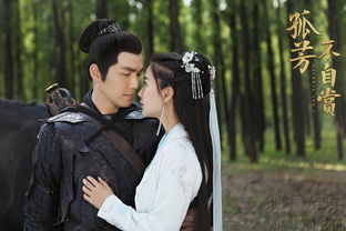 鐘漢良和baby怎么了