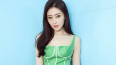 張天愛老家是哪里