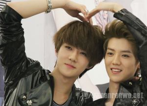 鹿晗與吳世勛什么關系