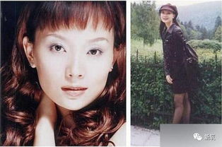 鹿晗的媽媽是陳數嗎