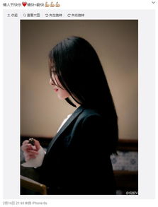 倪妮井柏然在一起了嗎