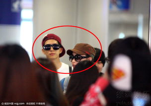 倪妮井柏然在一起了嗎