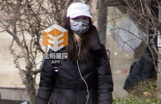 倪妮井柏然在一起了嗎