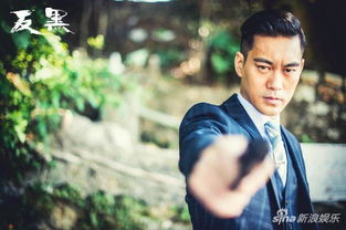 反黑陳國坤是壞蛋嗎