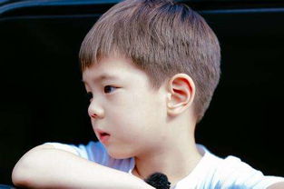 嗯哼是黃毅清的孩子嗎