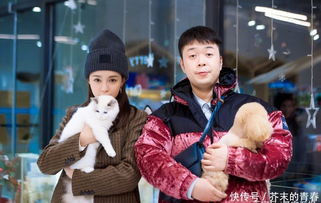 沈夢辰是哪里人