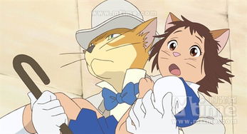 貓的報恩是宮崎駿的嗎