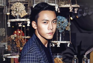 陳偉霆演的電影電視劇有哪些