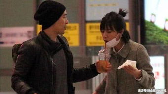 三寶甩了徐靜蕾嗎