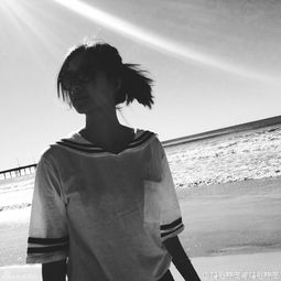 三寶甩了徐靜蕾嗎