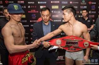 中華虎楊建平哪年死了