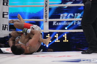 中華虎楊建平哪年死了