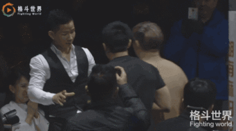 中華虎楊建平哪年死了