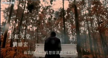 周杰倫的楓和劉宏哪首歌