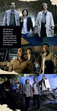 四大神獸誰是老大